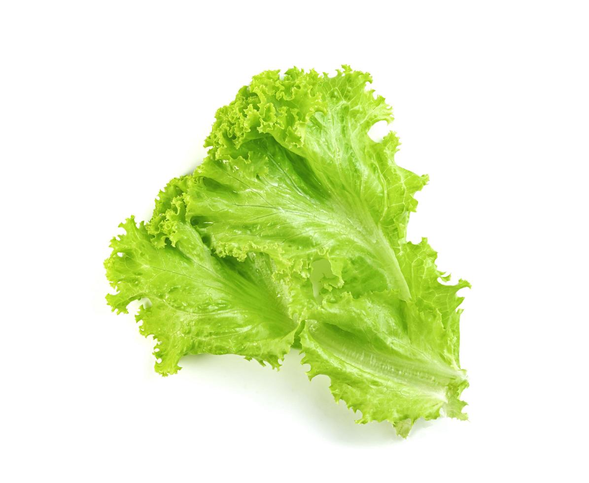 Lettuce leaf isolated on white background ,Green leaves pattern ,Salad ingredient photo