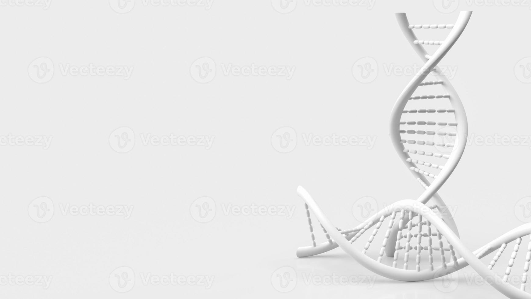 white dna on white background for science or medical  concept 3d rendering photo