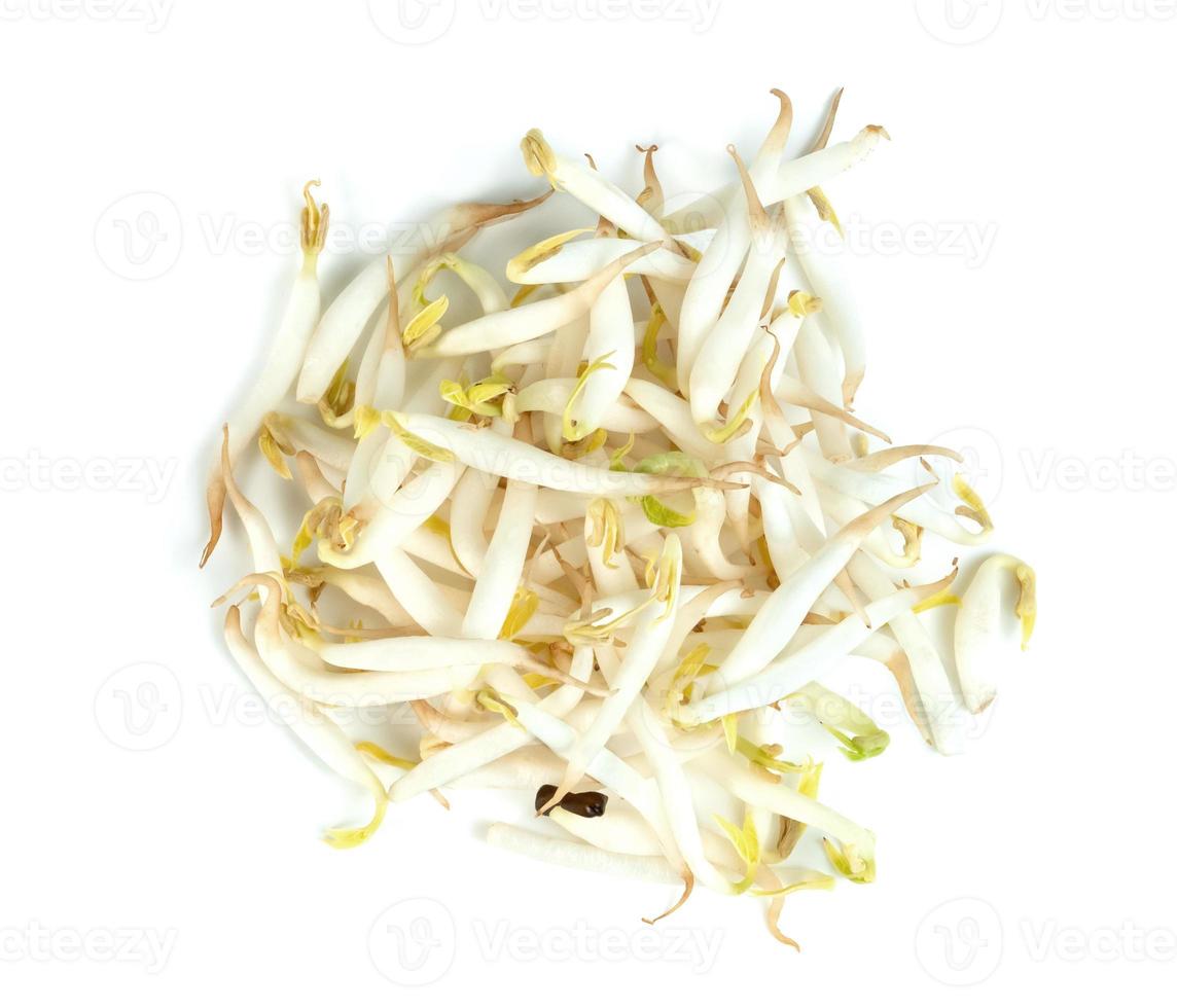 Bean Sprouts isolated on white background photo