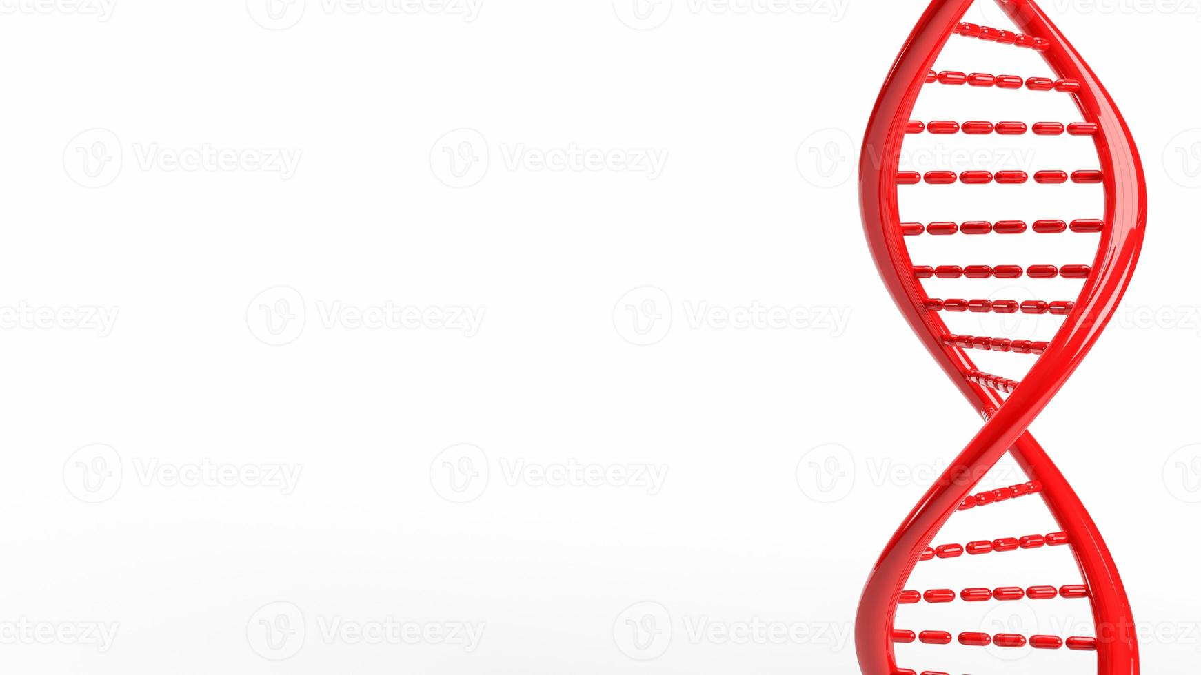 The red dna on white background for sci or medical concept 3d rendering photo