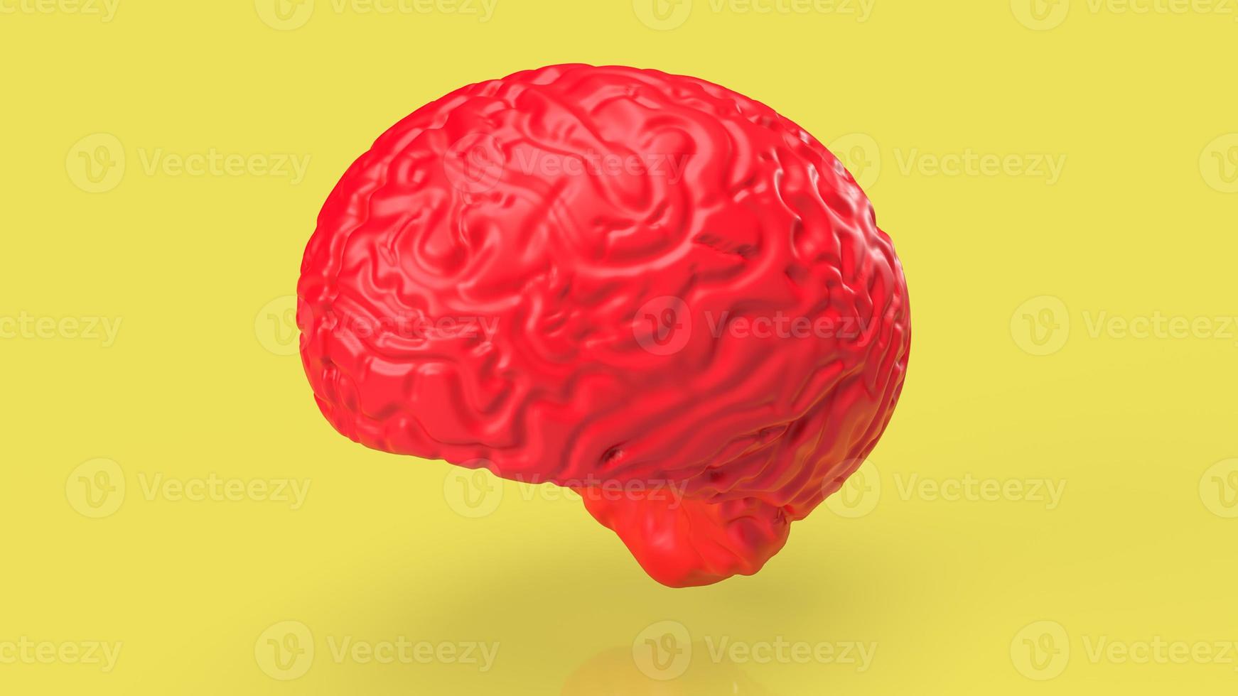 red brain on yellow back ground 3d rendering photo
