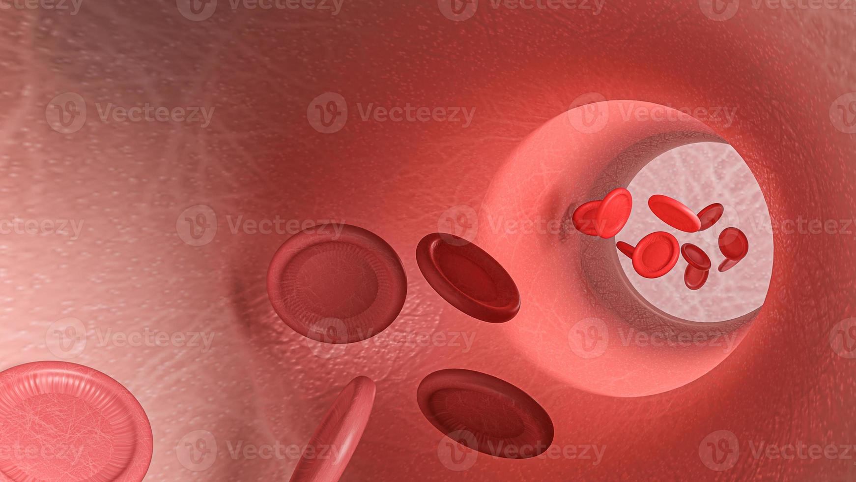 blood cell image for sci or medical concept 3d rendering photo