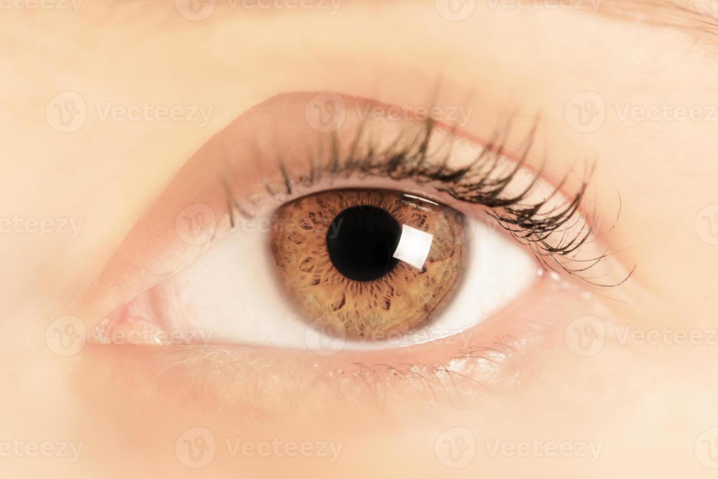 Brown eye of a young woman. Close-up. Focus on iris photo