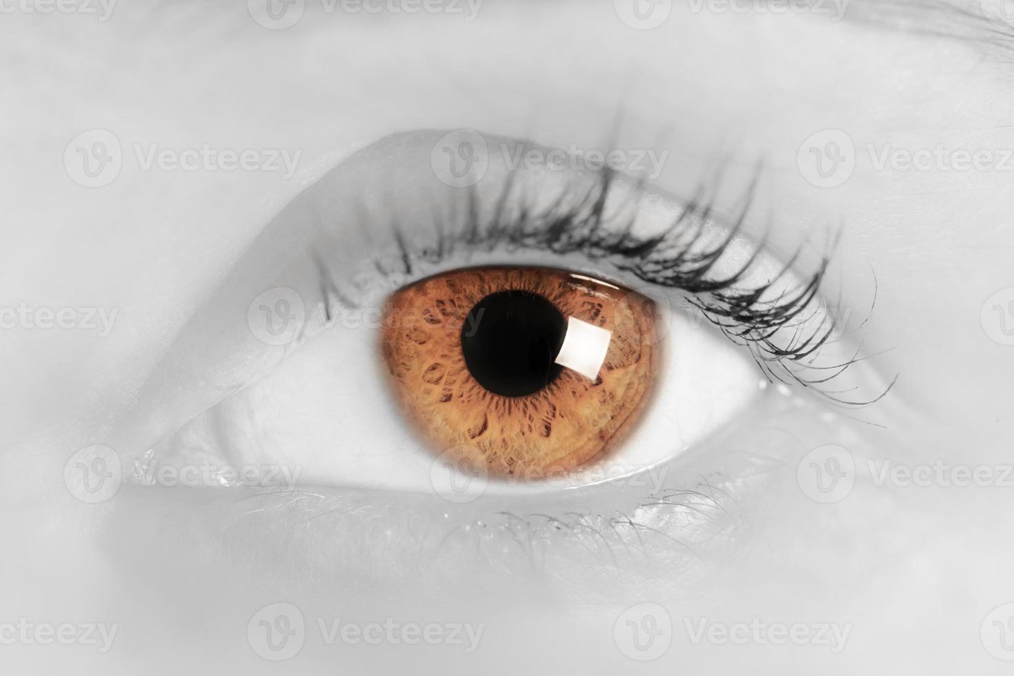 Brown eye of a young woman. Close-up. Focus on iris photo