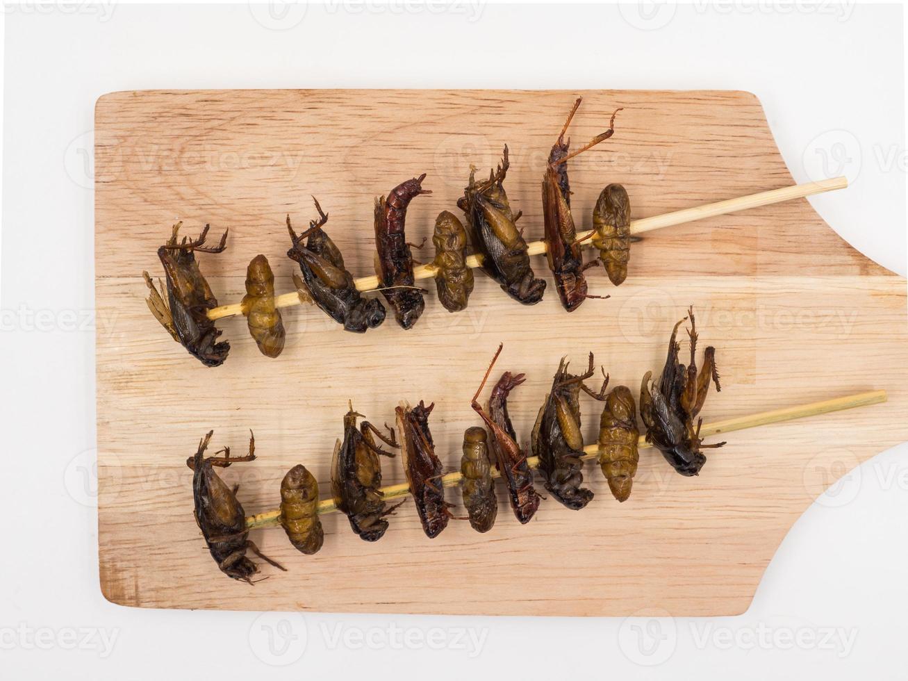 Fried insects. Protein rich food. photo
