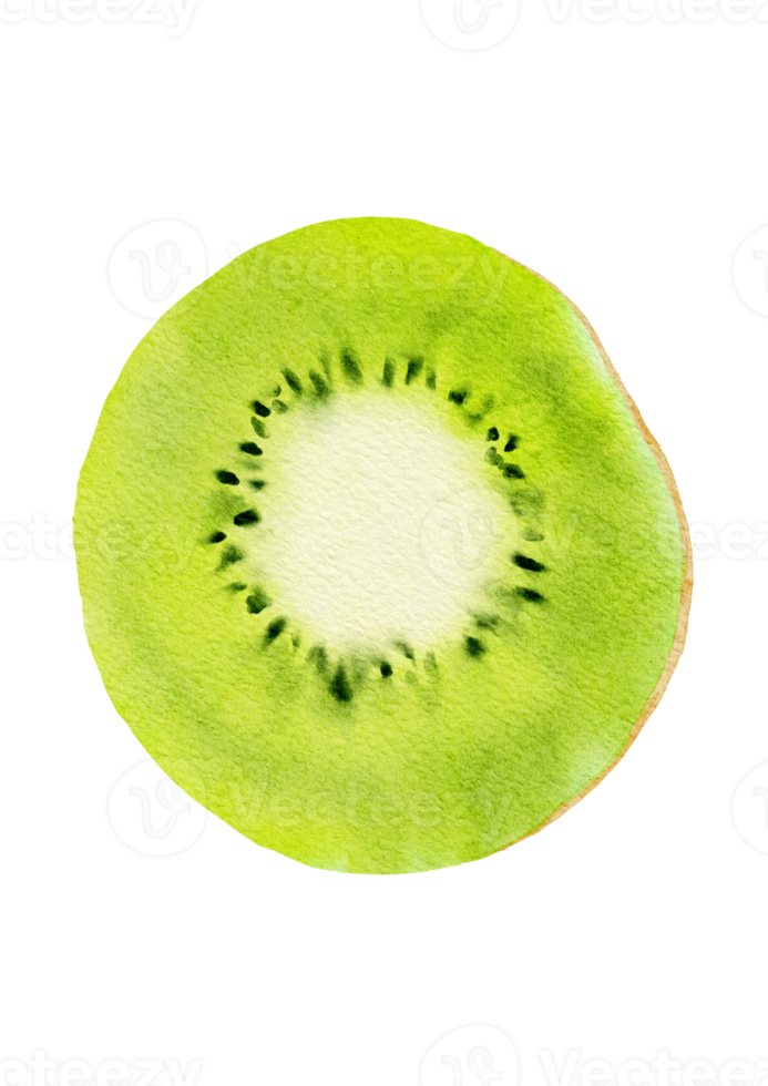 aquarel kiwi's png