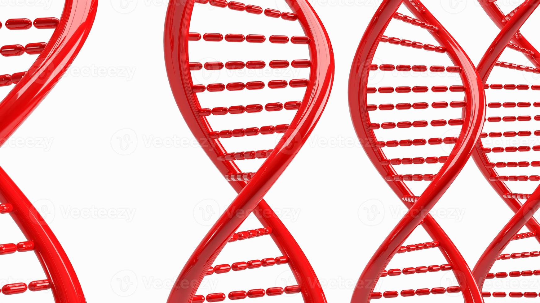 The red dna on white background for sci or medical concept 3d rendering photo