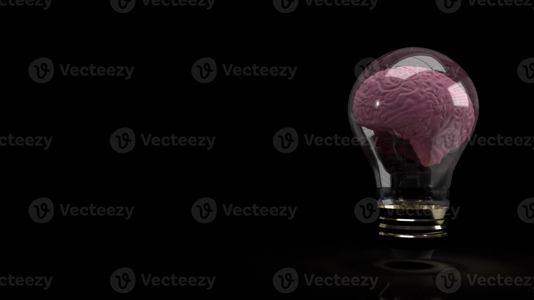 The brain inside light bulb  for education or sci content 3d rendering photo