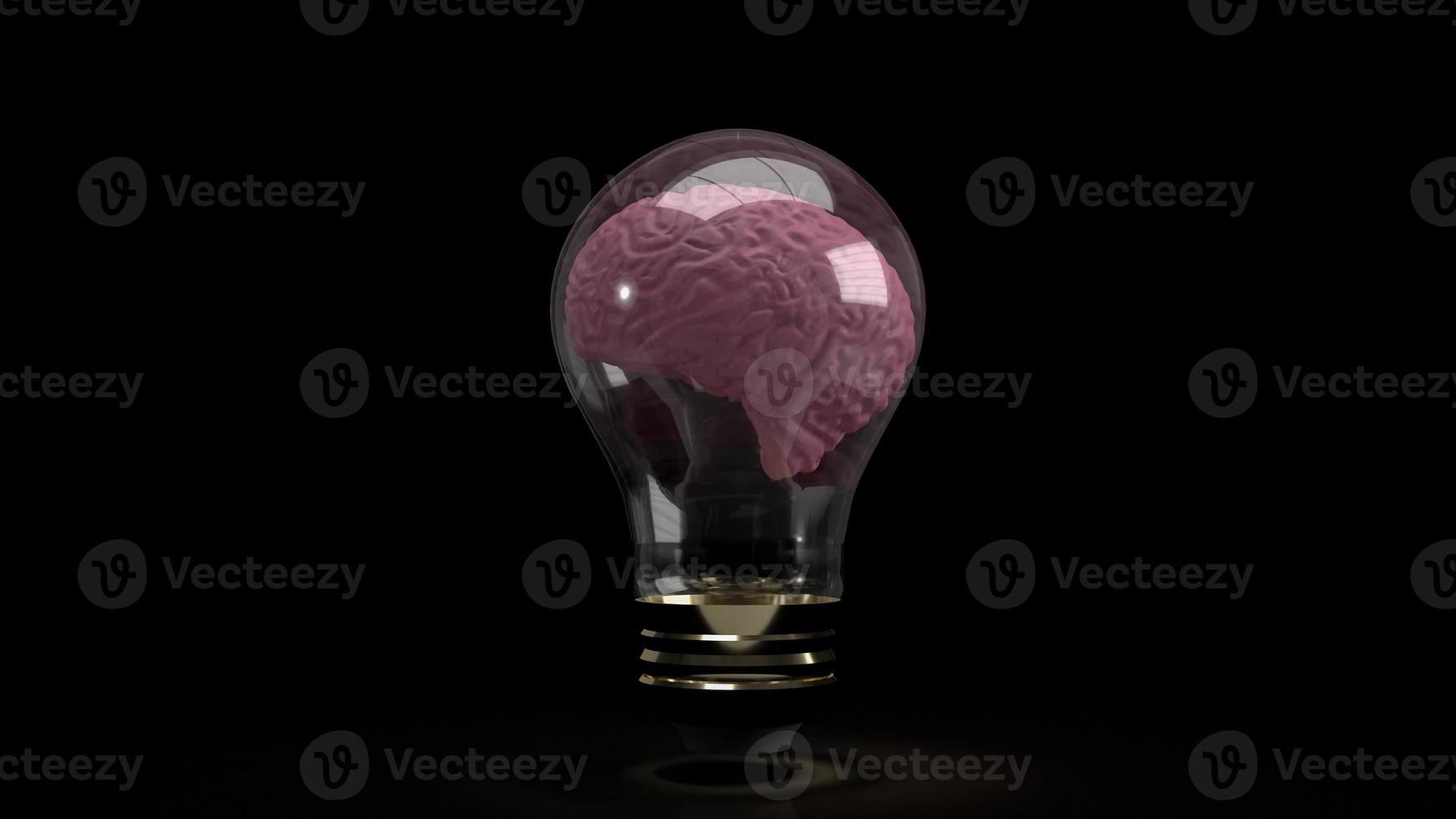 The brain inside light bulb  for education or sci content 3d rendering photo