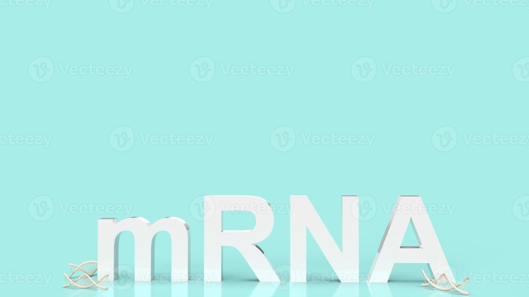 The mrna or messenger Ribonucleic Acid white text for medical or outbreak concept 3d rendering photo