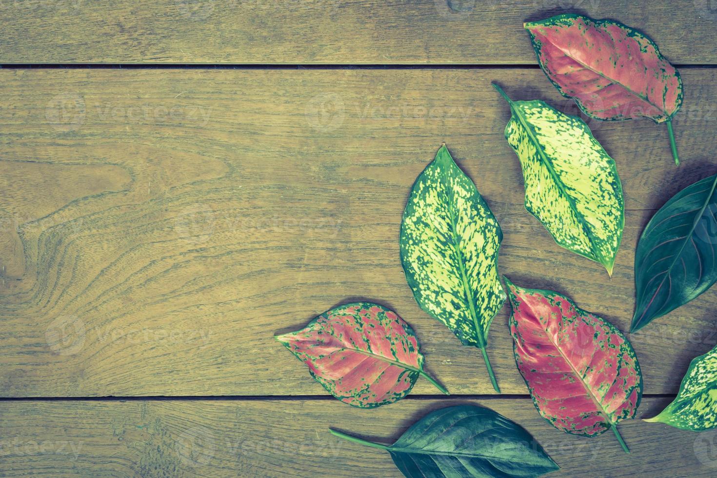 Autumn leaves on wooden background.Vintage style photo