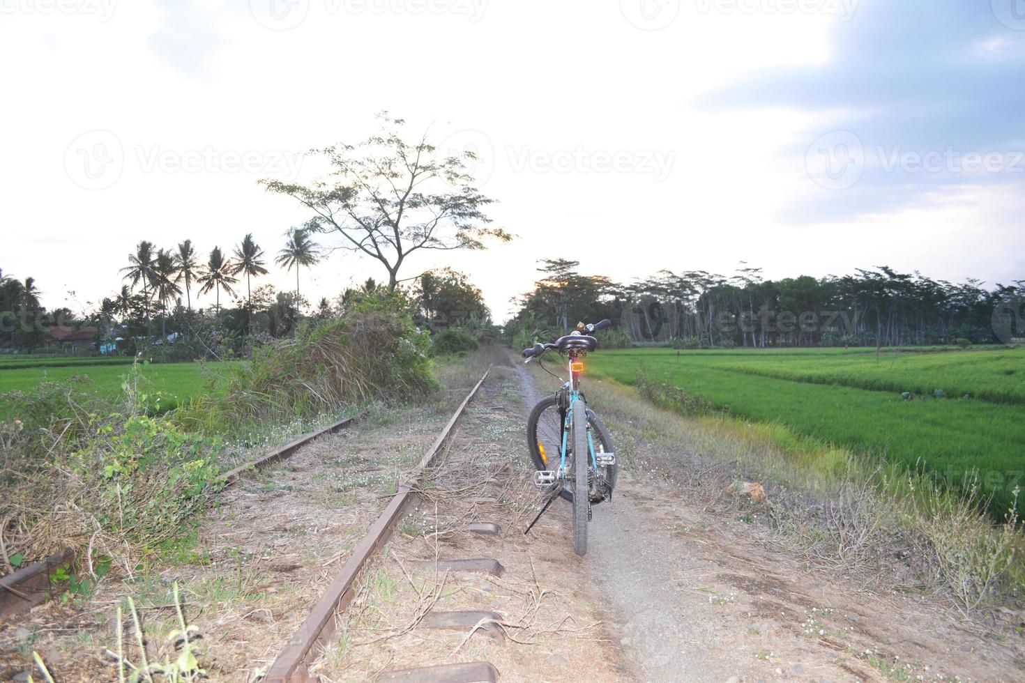 Bicycles On The Trail Beside The Old Train Tracks Full Of Scrub photo