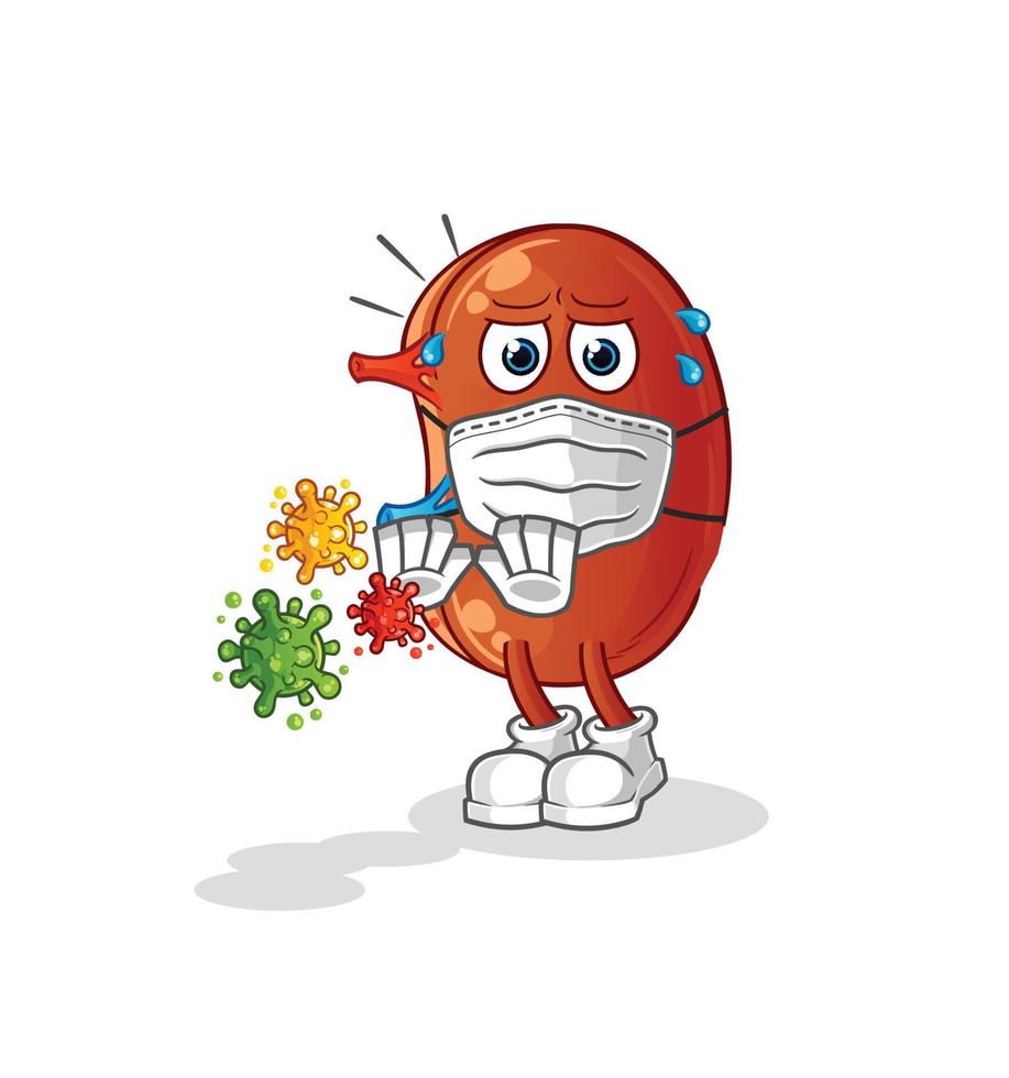 kidney cute vector