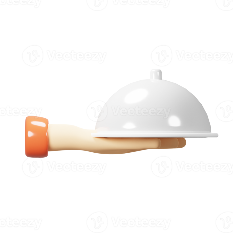 3D Icon Food Delivery Hand png