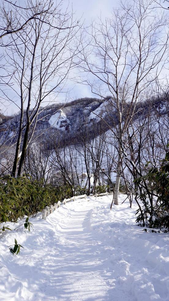Snow and walkway in the forest Noboribetsu onsen snow winter photo