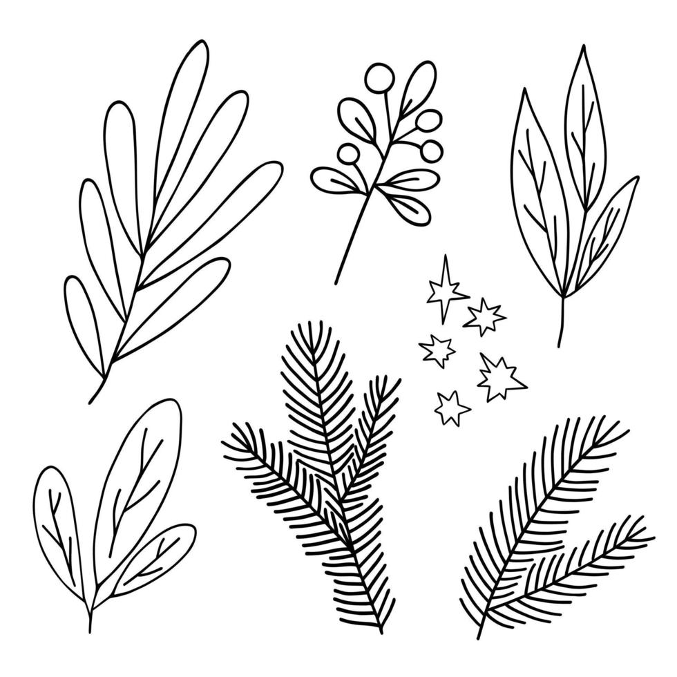 hojas ilustración de concepto minimalista de vector de contorno simple, ramas florales dibujadas a mano de línea delgada, elemento para invitaciones, tarjetas de felicitación, diseño de vacaciones de invierno