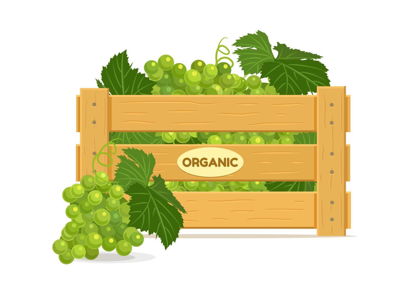 Wooden box with grapes. Fruit box icon. Vector illustration isolated on white background.