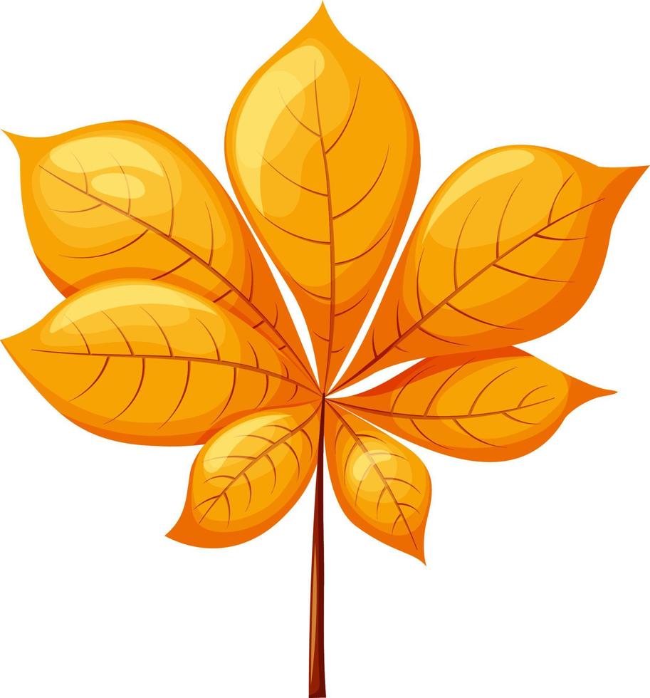 Chestnut leaf in cartoon style vector