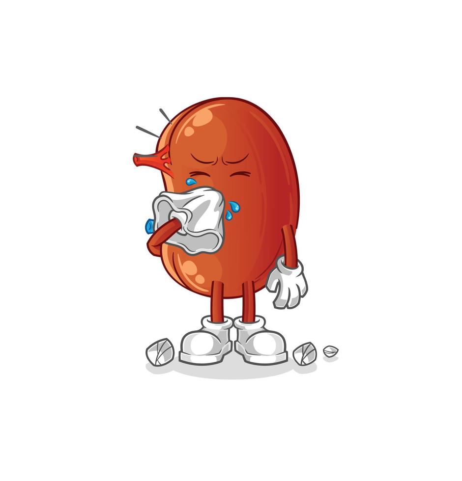 kidney cute vector