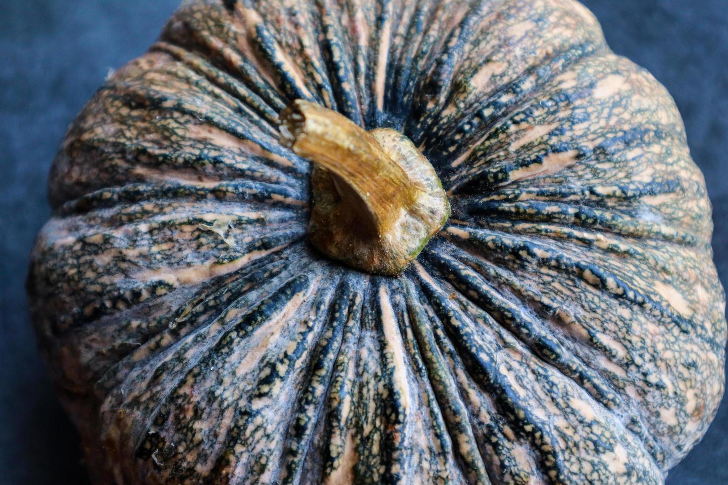 The big pumpkin photo