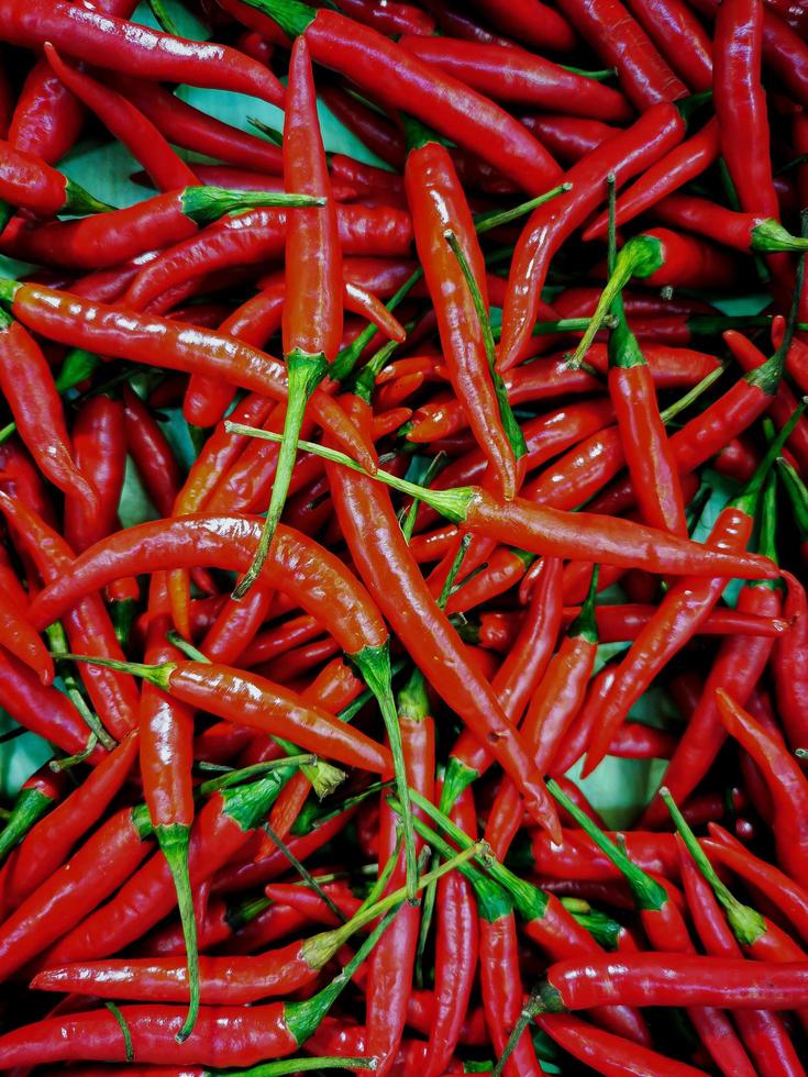 The Fresh Red Chili photo