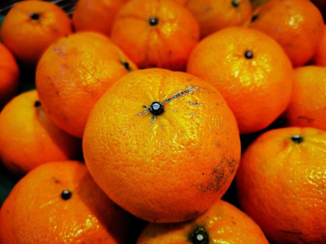The Orange Fruit photo