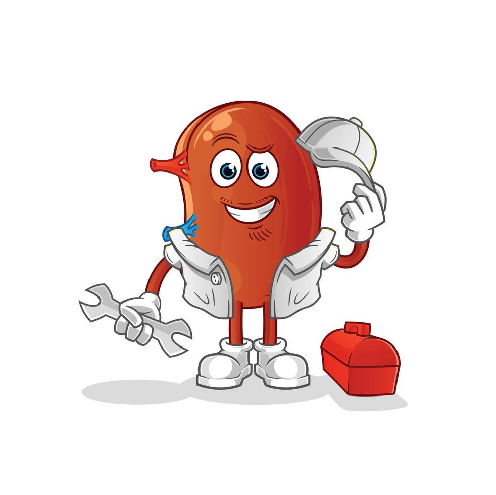 kidney cute vector