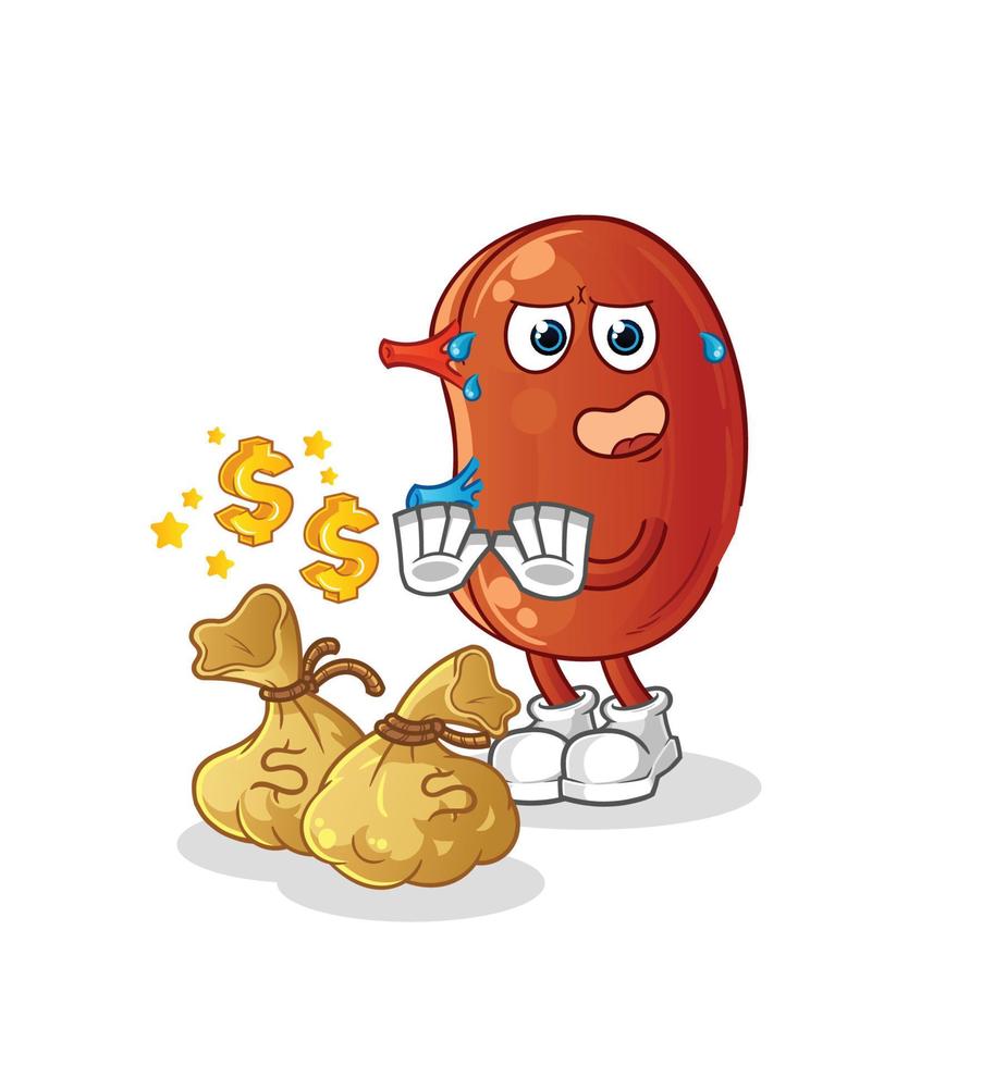 kidney cute vector