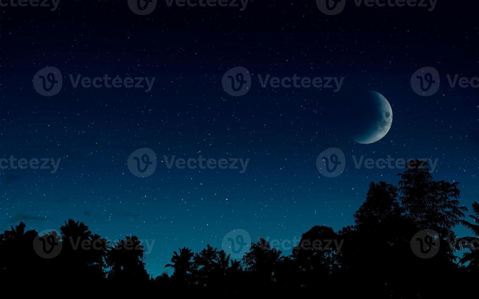 starry sky with the moon and silhouette of the jungle photo