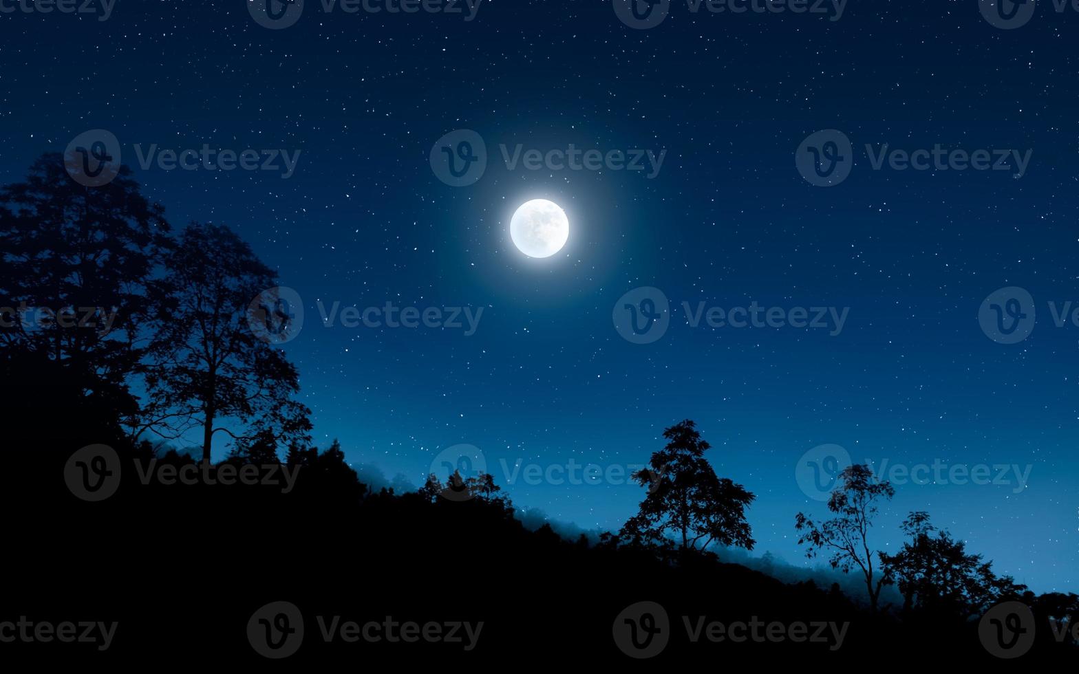 noche oscura en el bosque con luna llena foto