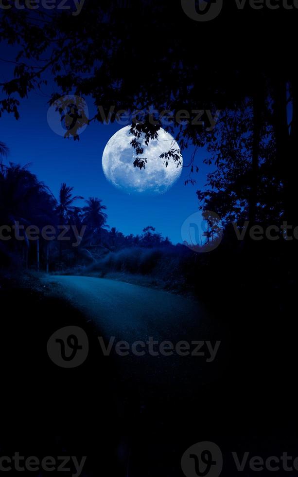 Moon in night sky photo