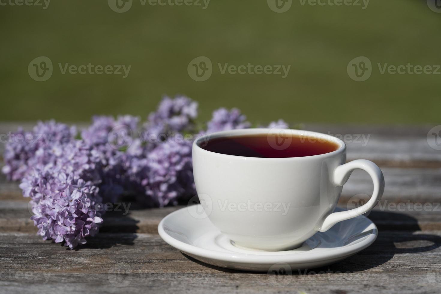 Tea time, Cup of tea. photo