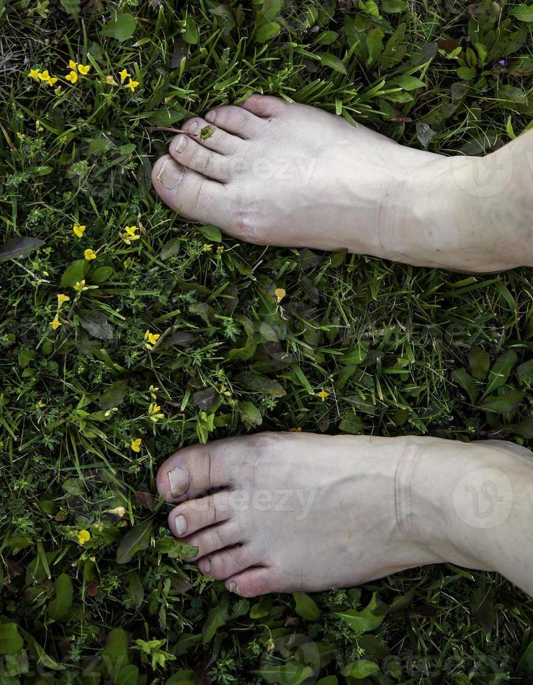 Bare feet in the grass photo