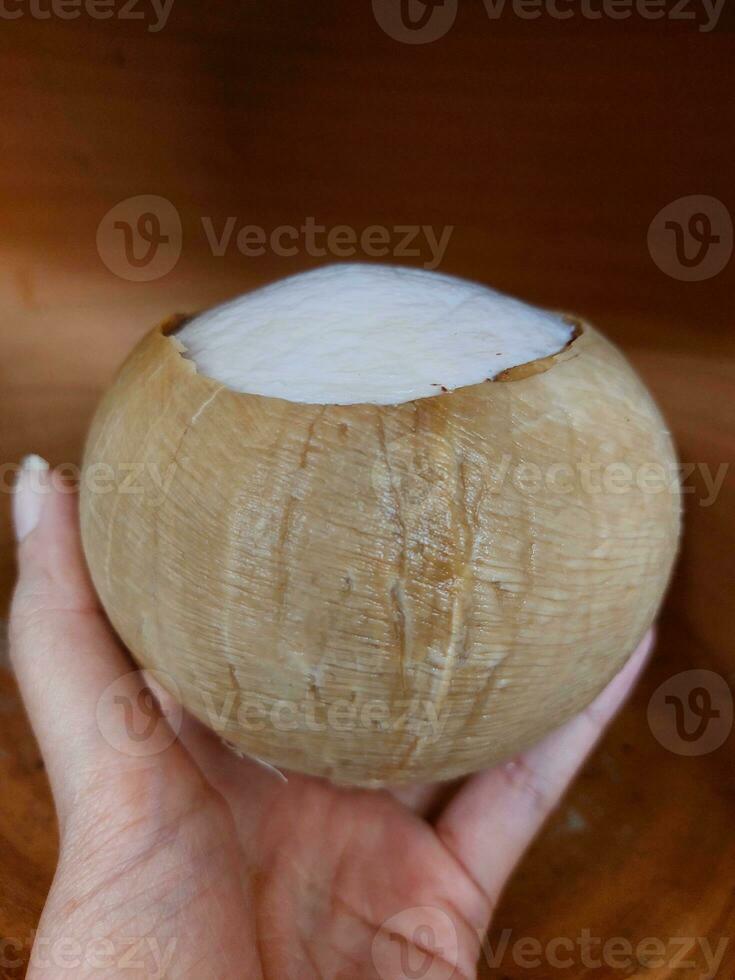 burnt coconut which has been peeled on top, so can drink coconut water and eat coconut meat. photo