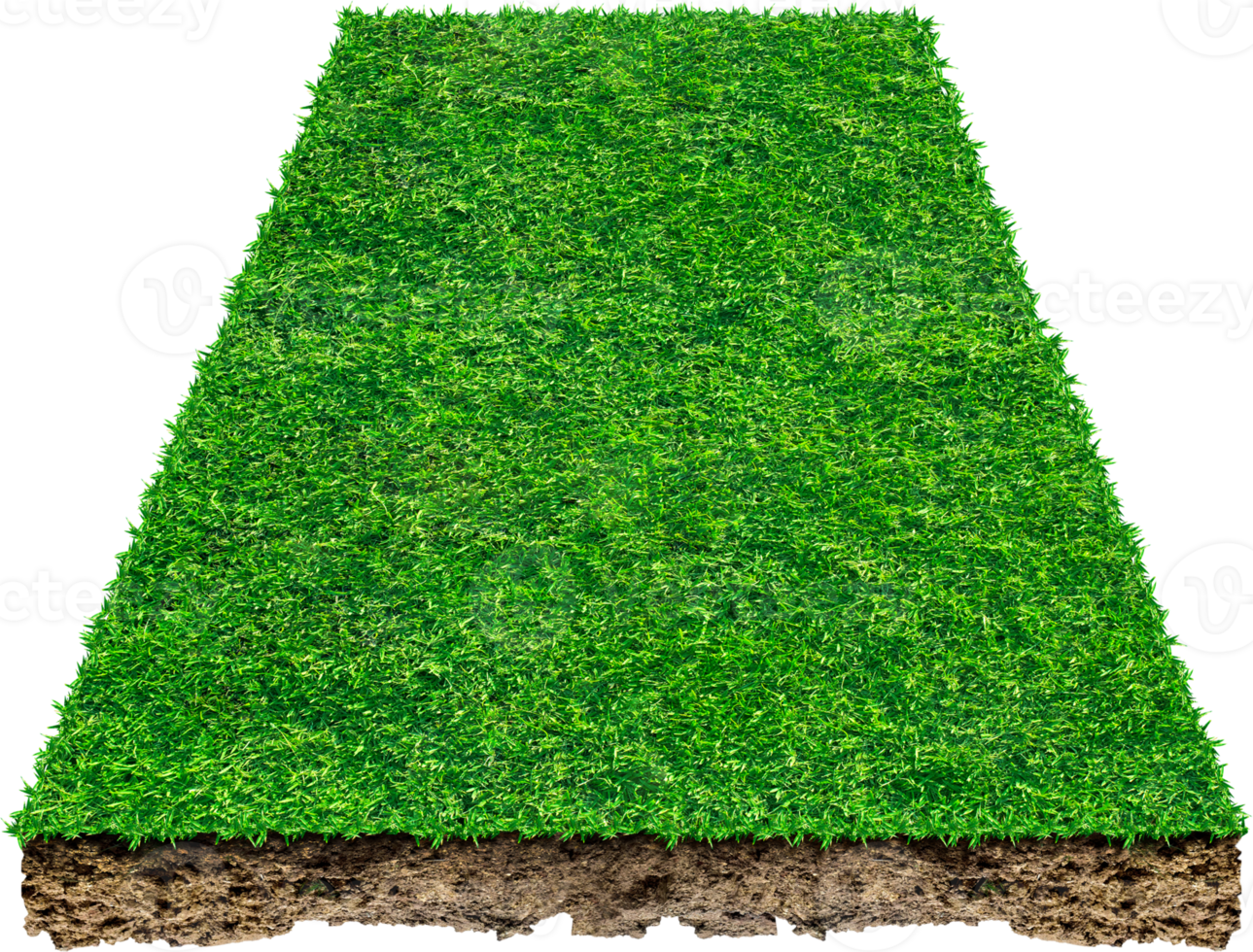 3d green grass field png