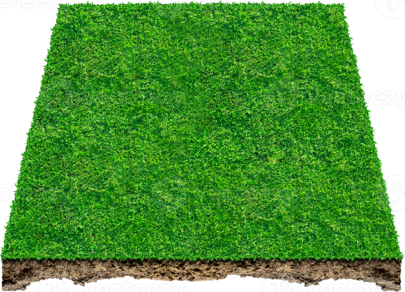 3d campo de grama verde png