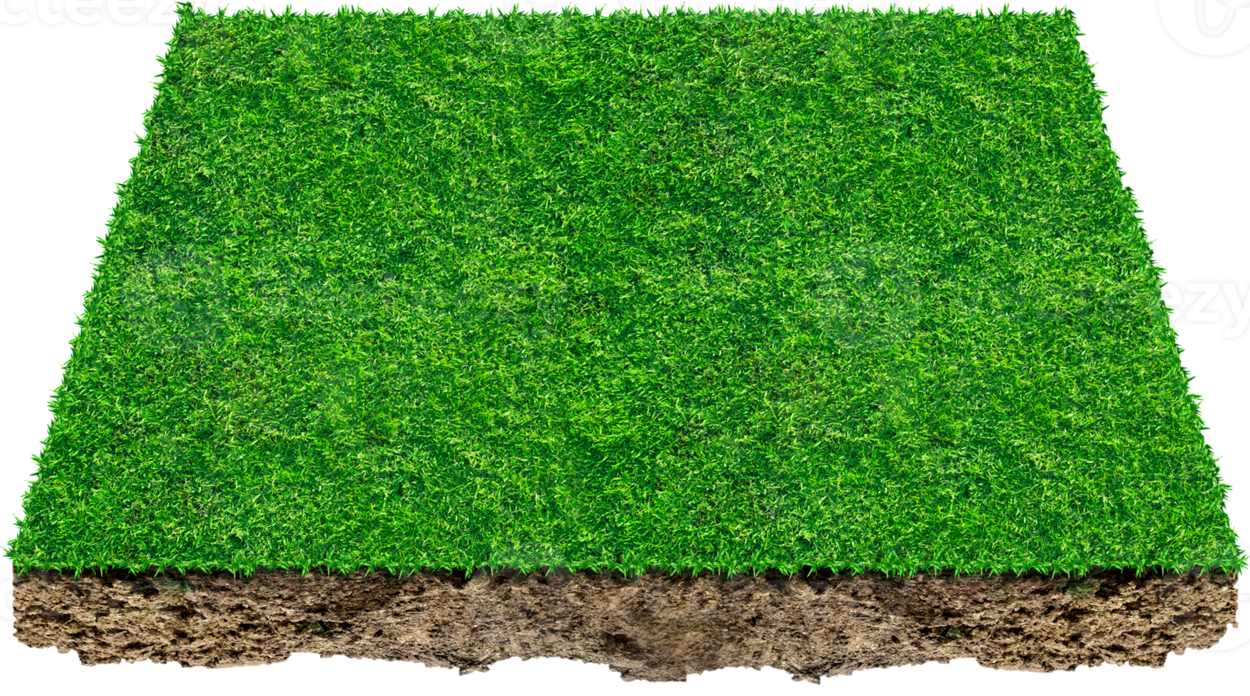 3d green grass field png