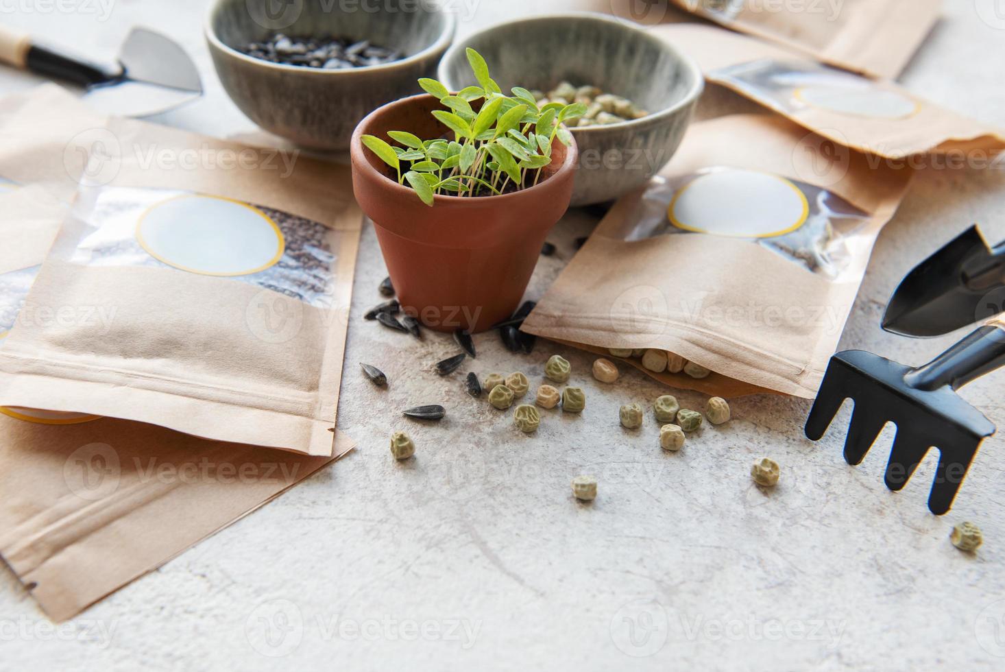 Microgreen seeds in paper bags and equipment for sowing microgreens. photo
