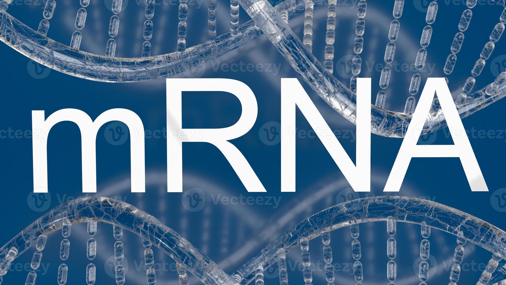 The mrna or messenger Ribonucleic Acid white text for medical or outbreak concept 3d rendering photo