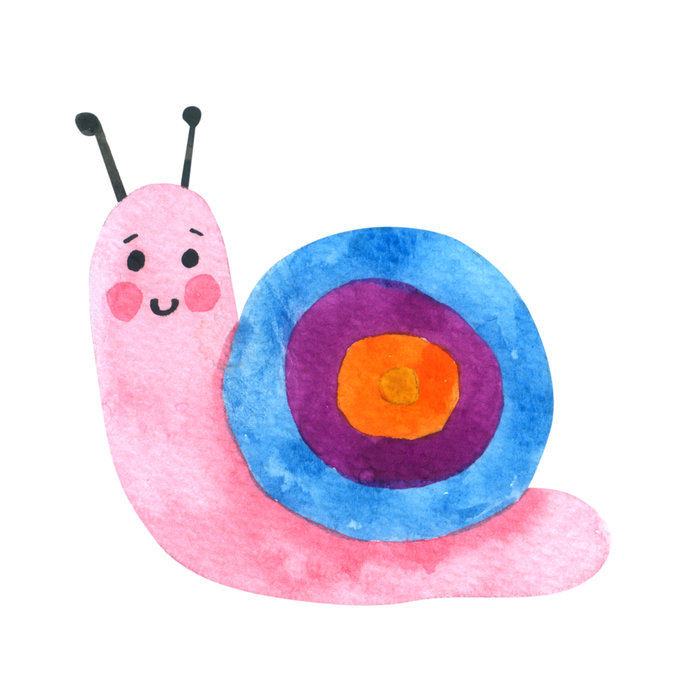 snail watercolor cartoon animal png