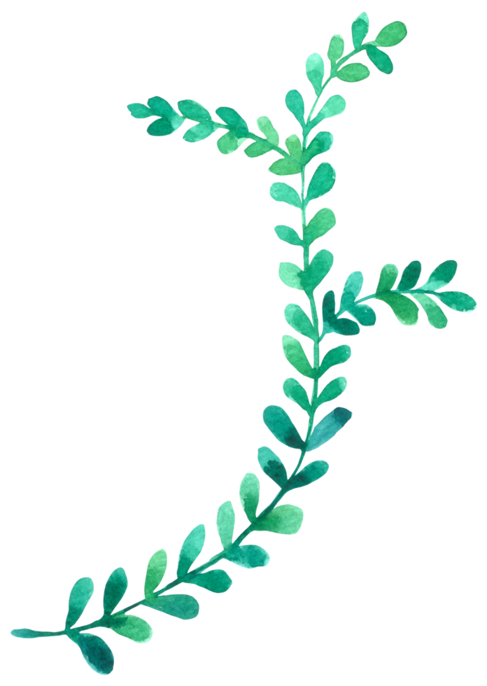 Green Leaf watercolor png