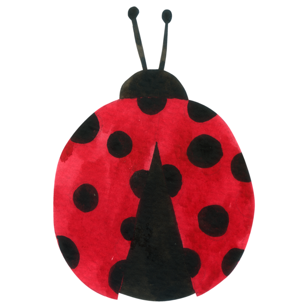 Ladybug watercolor cartoon animal png