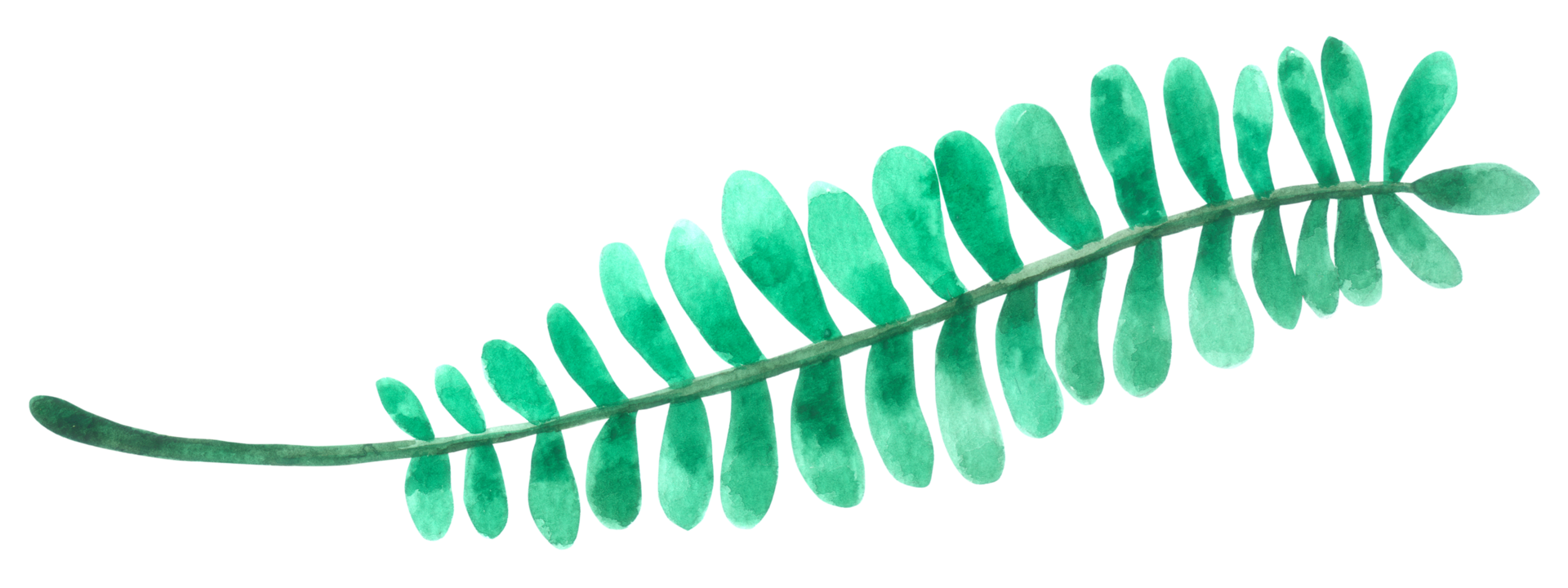 Green Leaf watercolor png