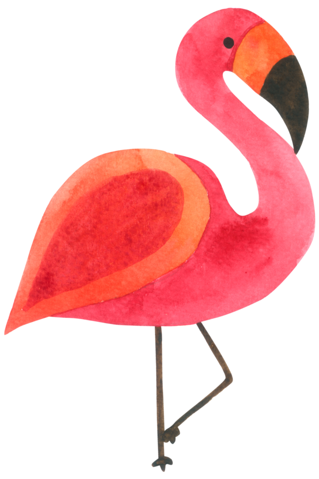 flamingo watercolor cartoon animal zoo png