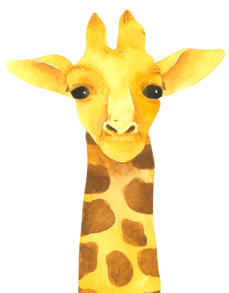 acquerello carino del fumetto della giraffa png