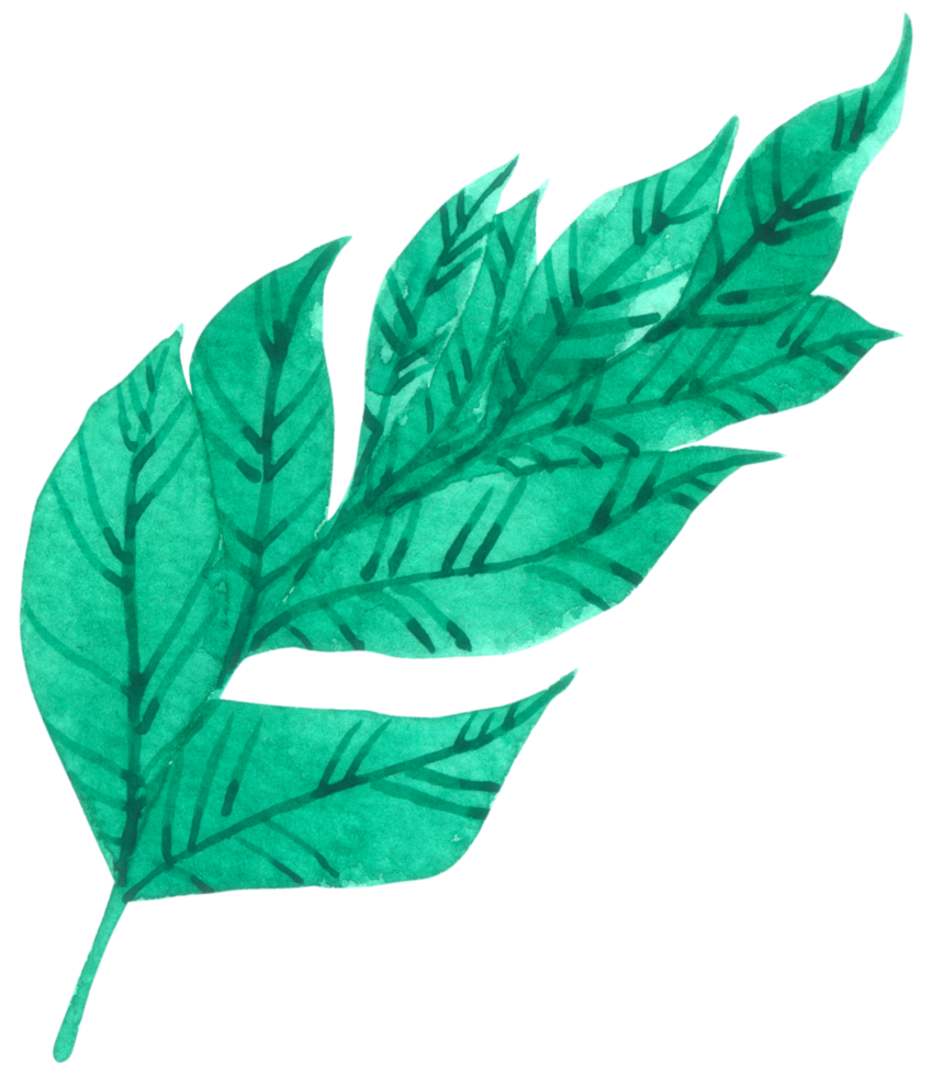 Green Leaf watercolor png