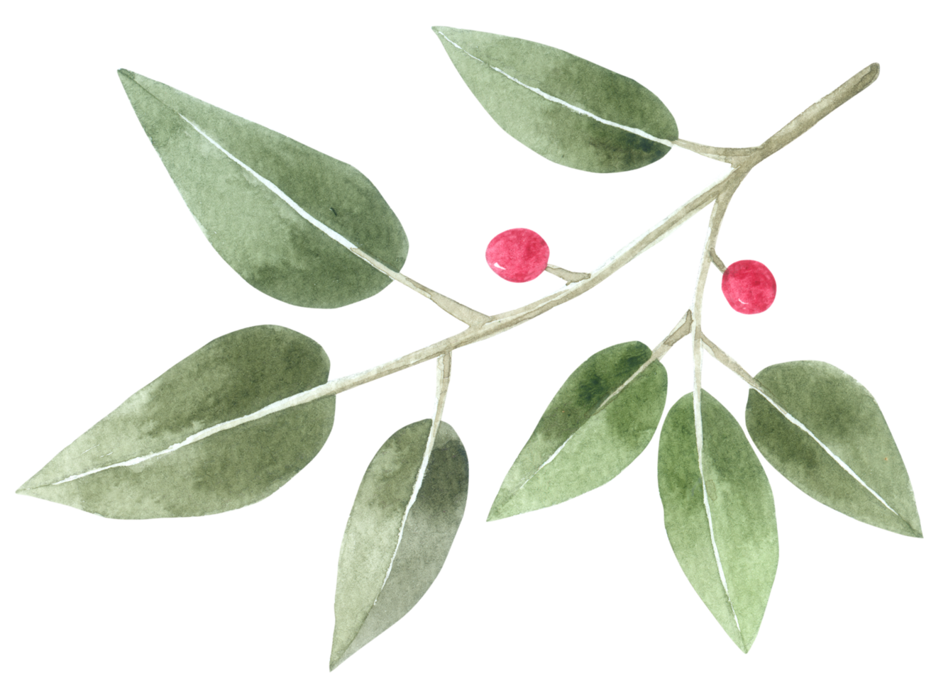 acuarela de hoja verde png