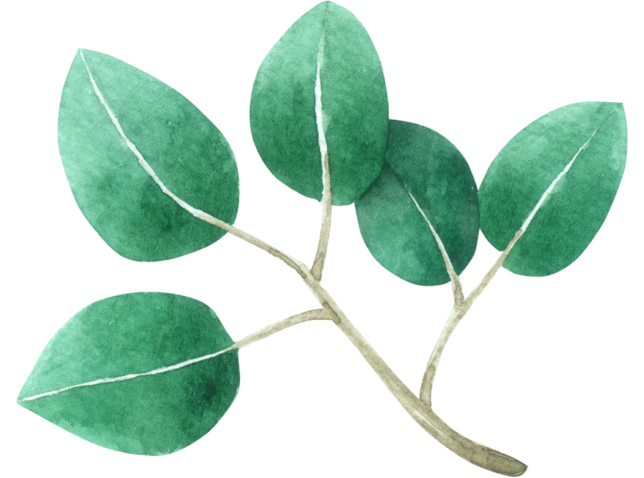 Green Leaf watercolor png