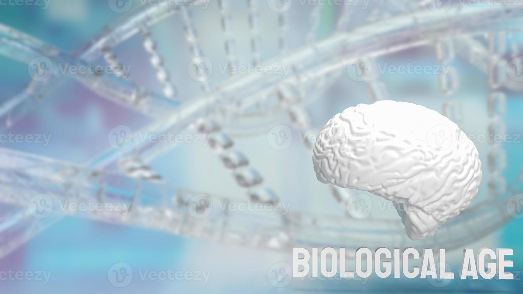The brain and biological age on dna background for sci or medical concept 3d rendering photo