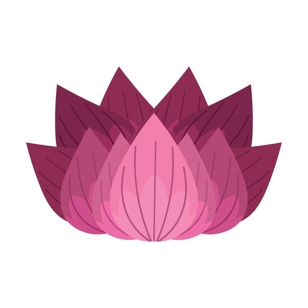 flor de loto naturaleza vector
